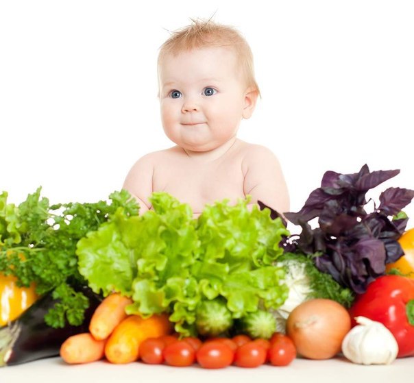 Введение в прикорм свеклы