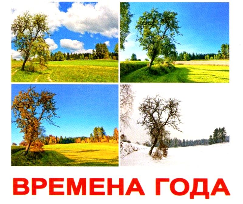 Учим времена года