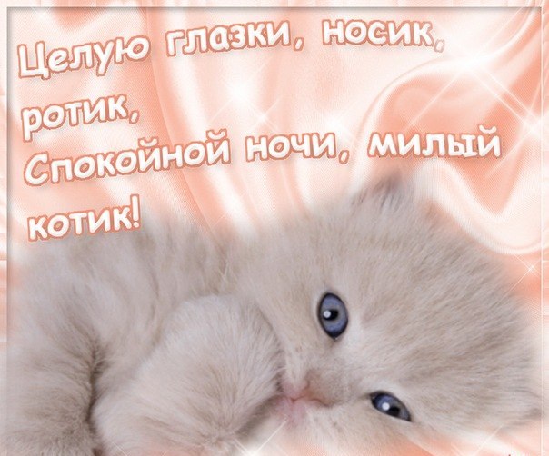 Смс спокойной ночи любимому мужчине в стихах, прозе, своими словами