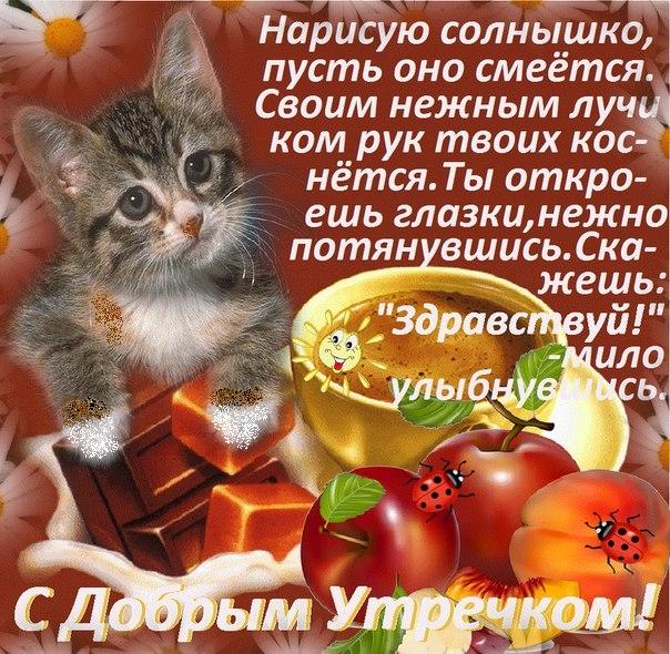 Теплые смс любимому мужчине утром в стихах, прозе, своими словами