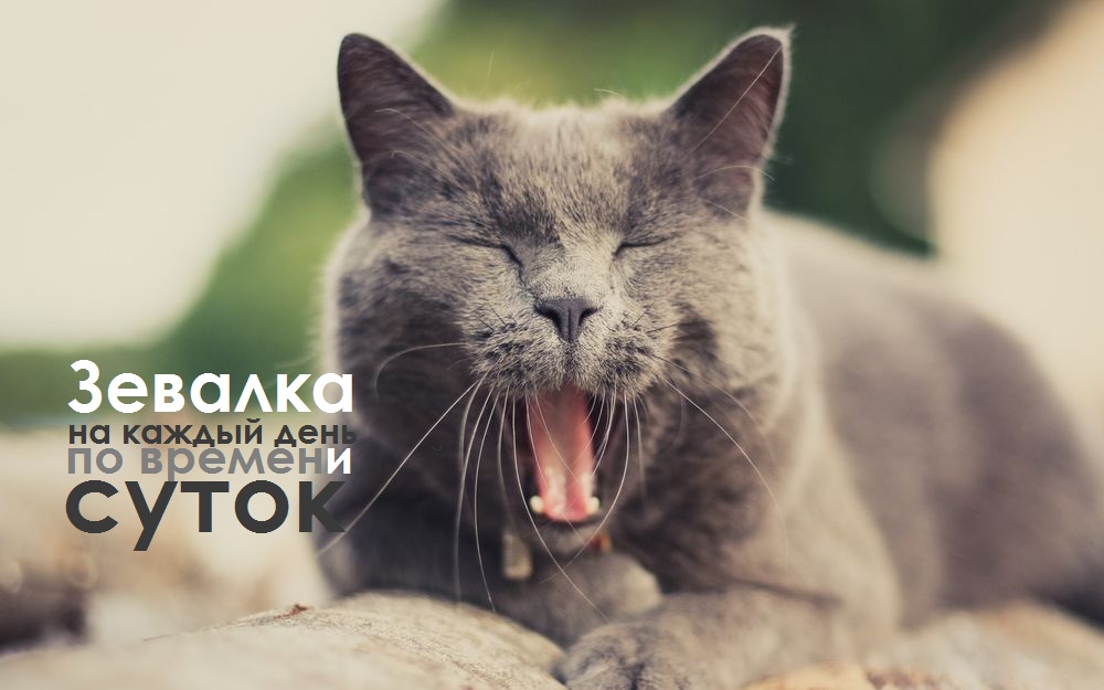 Baltimore 45_landscape 1.jpg