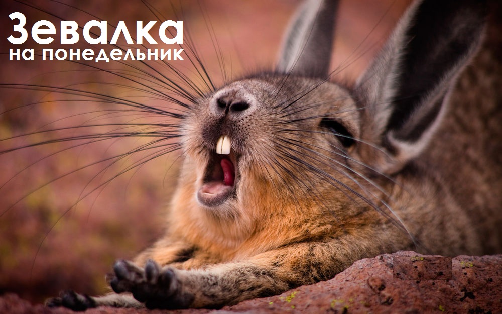 Понедельник