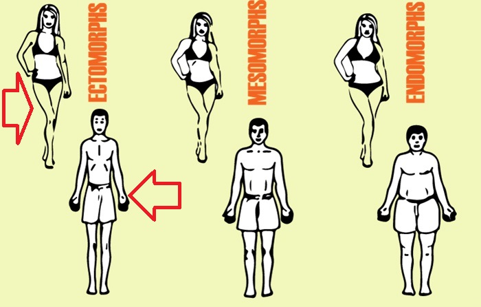 Эктоморфный вид фигуры