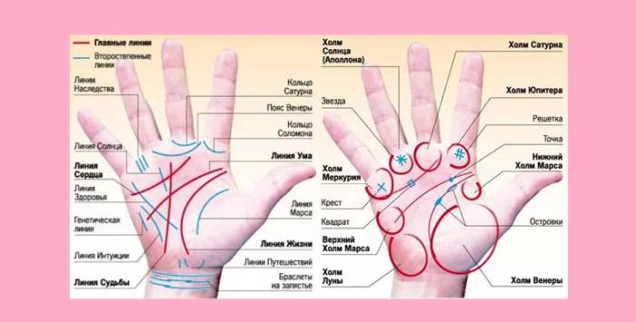 Схематический рисунок расположения полосок и бугров планет на ладошках