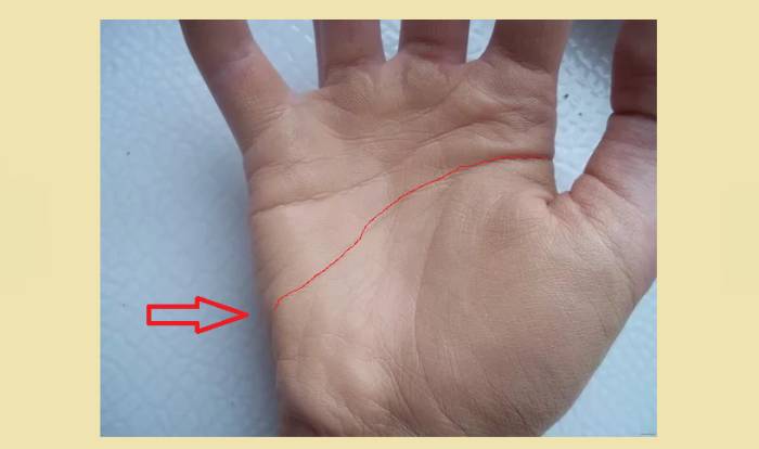 Длинная и ярко выраженная полоска ума