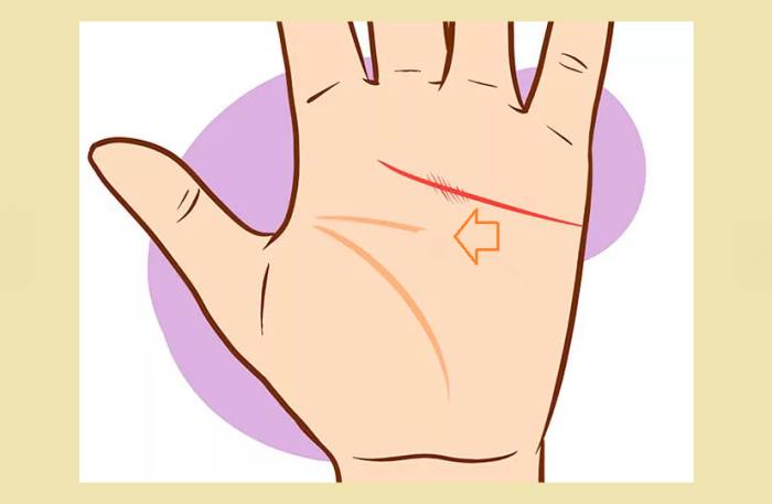 Короткая полоска головы