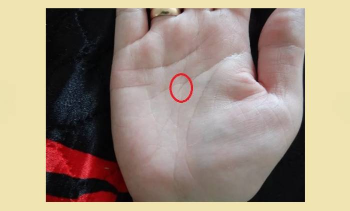 Раздвоение в середине