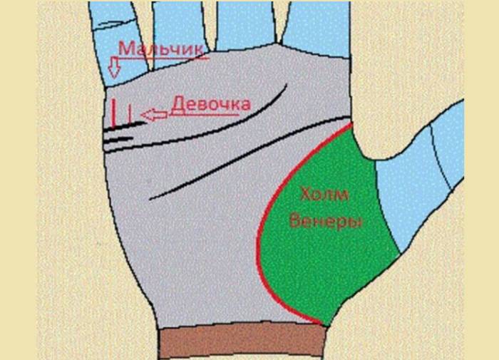 Полоска мальчика и девочки
