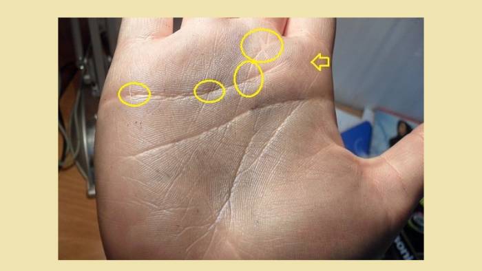 Крестообразные символы