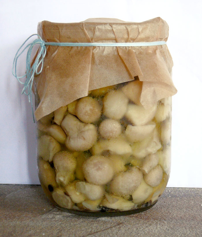 грибы дождевики маринованные в банке