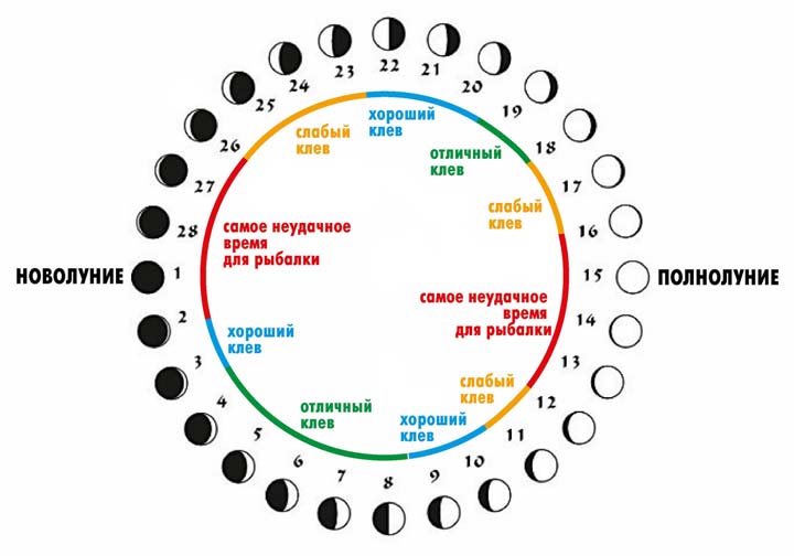 Влияние лунных фаз на клев