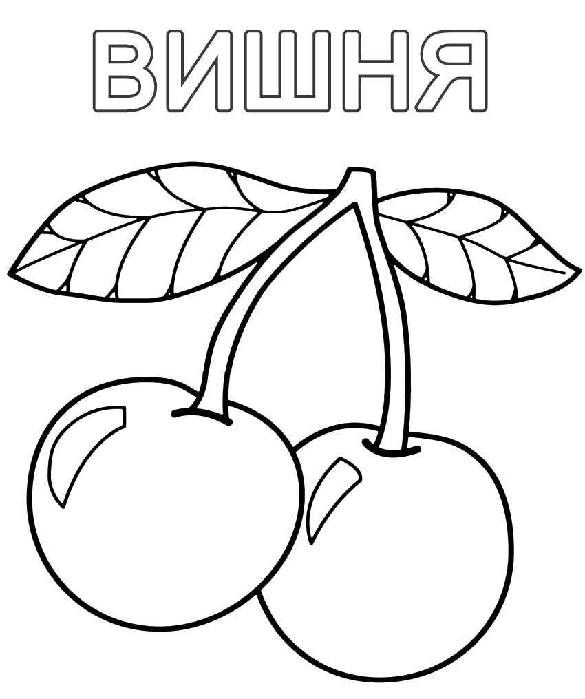 fruit08