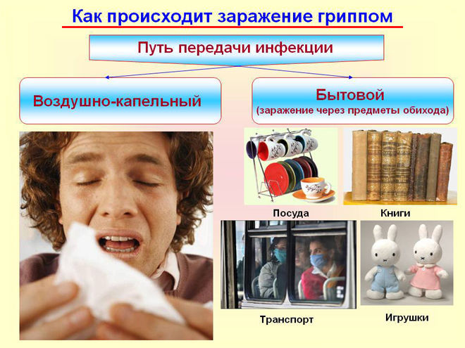 Как передается грипп?