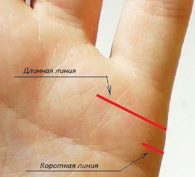 Примеры различной длины линий любви