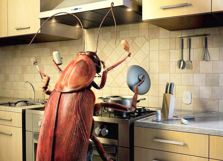 tarakan-na-kuhne-001