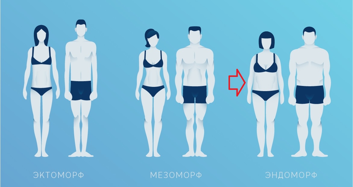 Эндоморфный вид фигуры у женщины